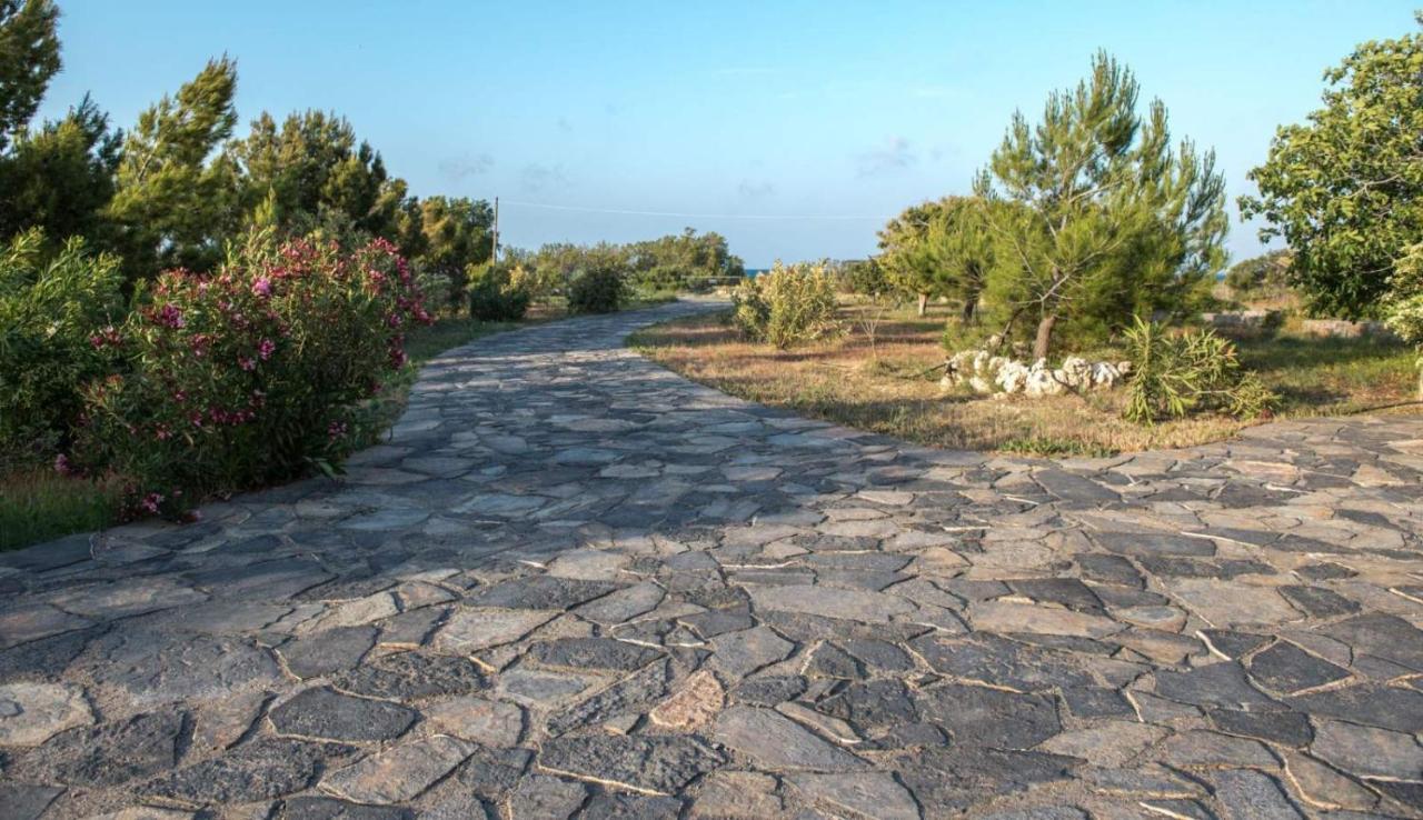 Kouremenos Beach House West Sitia  Dış mekan fotoğraf